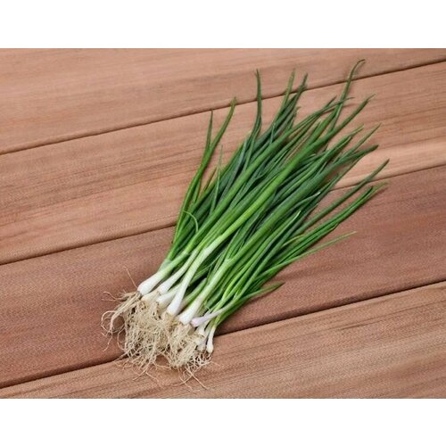 ���������� ������������� ������ ���� �� ������ ������