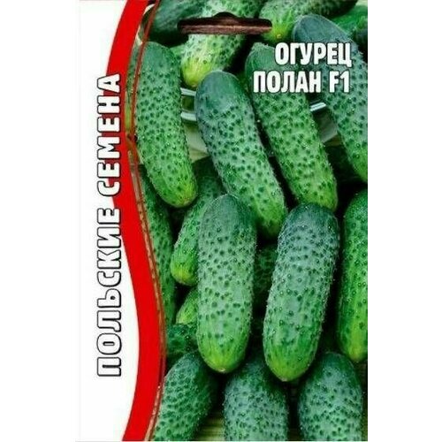 ���������� ������ ����� 10 �� ������ ������ (�������� 2 �����)