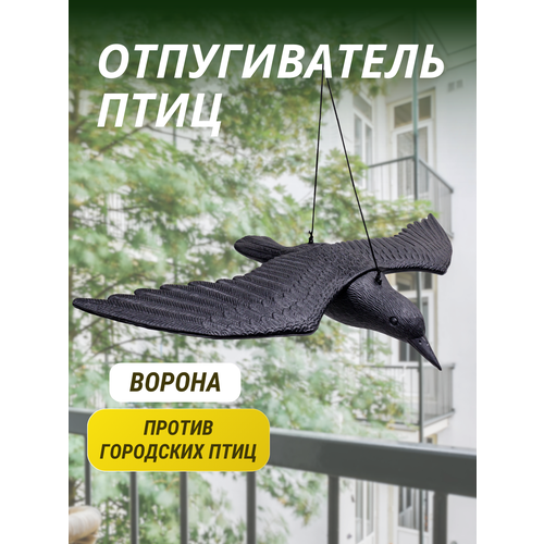 ���������� ������������ ���� ������ �������