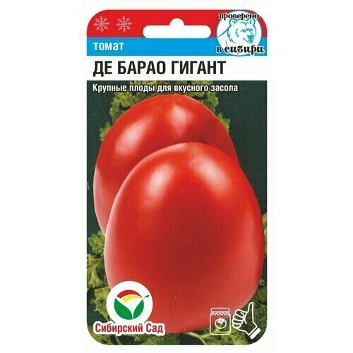 ���������� ������ ����� �� ����� ������ 20�� ����� (��������� ���)