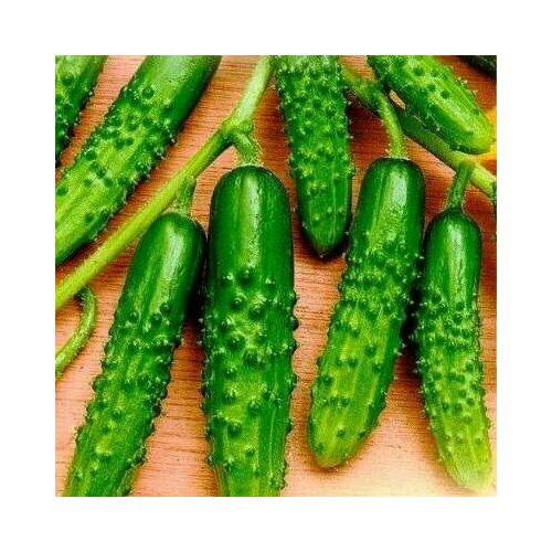 ���������� ������������� ������ ������ F1 ������