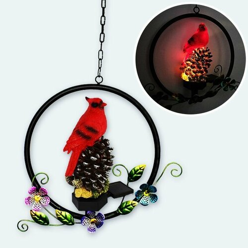 ���������� ������� ������� ��� ���� � ����. ������ �� ��������� �������. �������