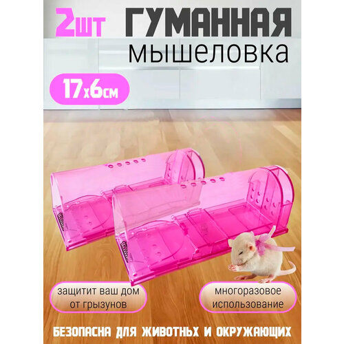 ���������� ��������� ��� ����� ��������, 2 �� �������