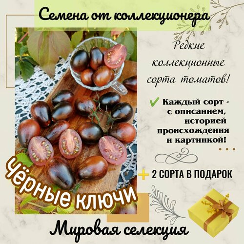 ���������� ����� 