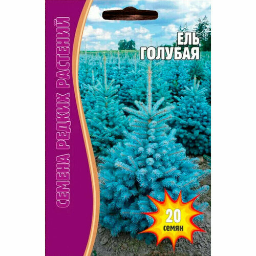 ���������� ��� ������� 20 �� ������ ������ ( 2 �� � ������)