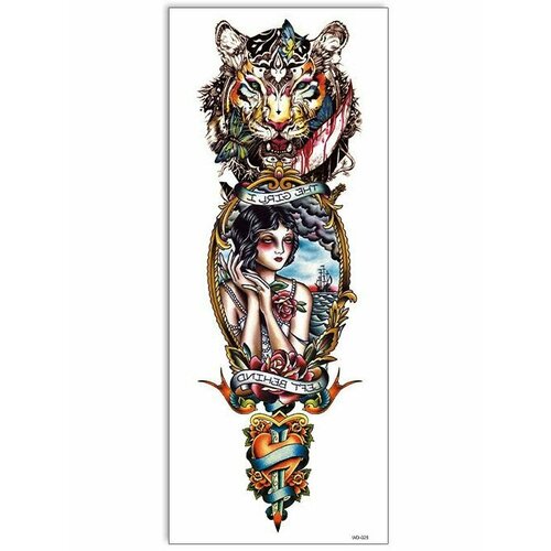 ���������� ���������� ��������� ���� ����� �� �������� / 43 � 15 �� ����