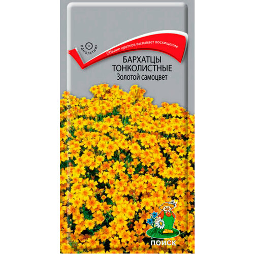 ���������� ������ �������� ������������ ������� �������� 0,1��.