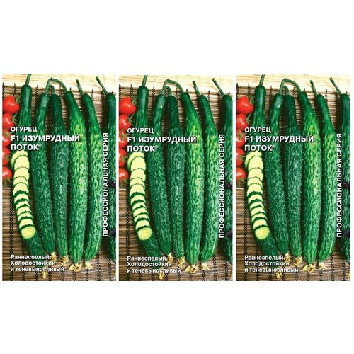 ���������� �����. 3 �������� * 0,2 � ������ ������ ���������� ����� F1 0,2 � (�����)