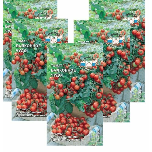 ���������� ������ ����� ��������� ���� 0,1 � (�����) , 5 ��������� * 0,1 �