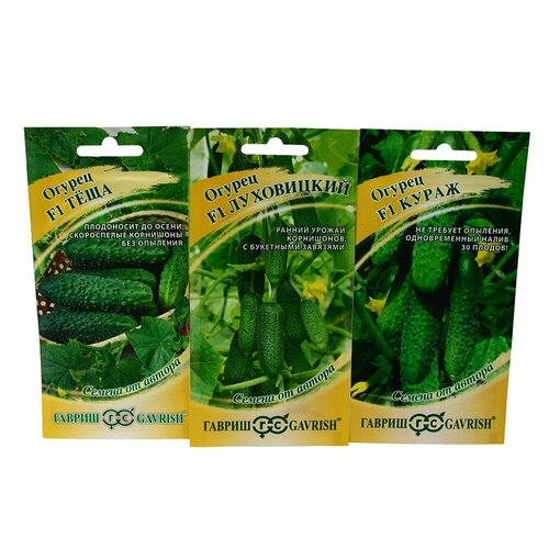 ���������� ����� ����� ������� �� ������ ���� F1, ����� F1, ���������� F1 (3 �������� �� 10 �����)