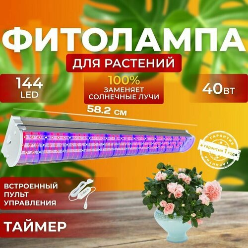      ,    ,      ,  40  144 LED   , -, 