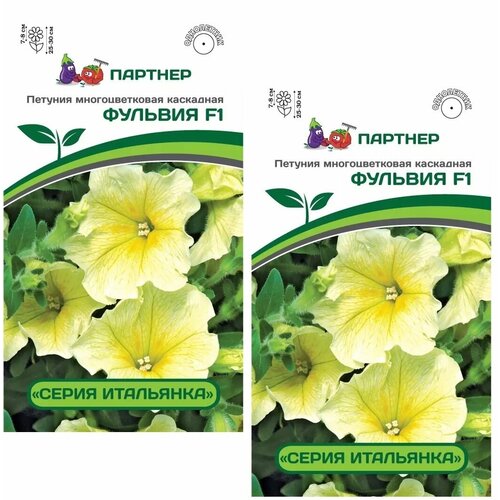 ���������� ������ ������� ������������� ��������� ������� F1 /��������� �������/ 2 �������� �� 5 �����