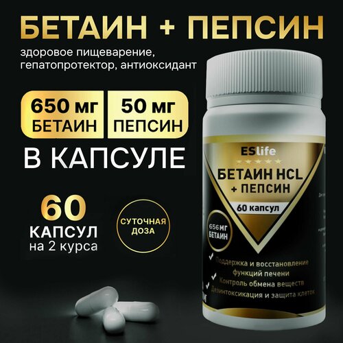 ���������� ������ ����������� 656 �� � ������ 50 �� ������� ������� ��� ������ ����������� ��� ������������ �� ������ 60 ������