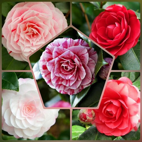 ���������� ������ ��������� ������ ������� �������� 10 ��. �����������