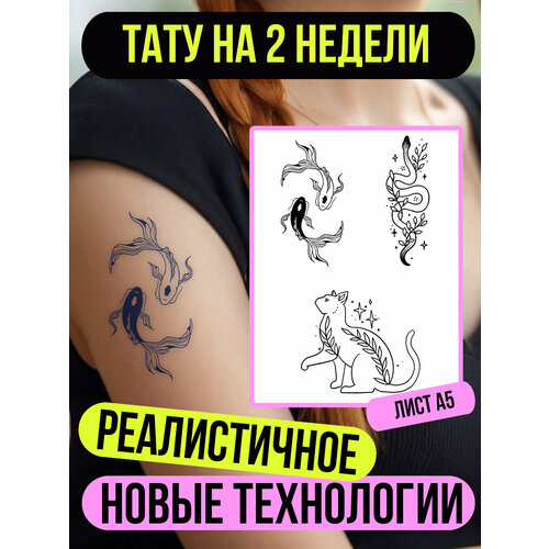 ���������� ���� ���������� �������������� ��������