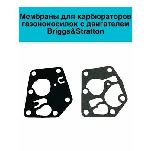       Briggs&Stratton   , -, 