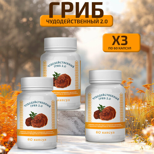 ���������� ��������������� ���� �� ��������� � ��������