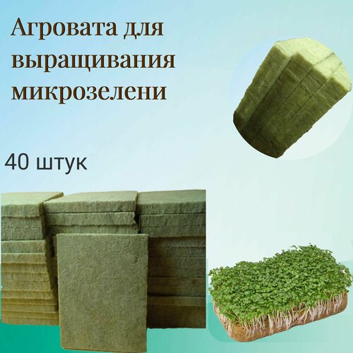 ���������� �������� / ����������� ���� (10�16�1,5��) ��� ����������� �����������, ����� �����, ������� (40 ��. � ������)