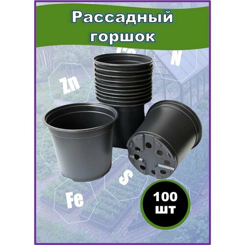 ���������� ������ ��������� �������, ����������� 1�, 100��