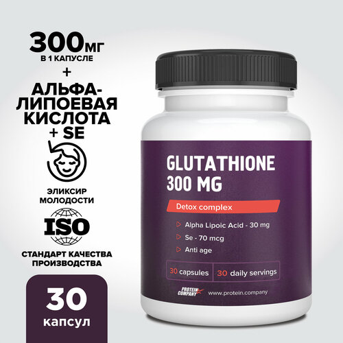 ���������� ��������� 300 �� PROTEIN.COMPANY ������������, ��� ����������, 30 ������ �� 650 ��