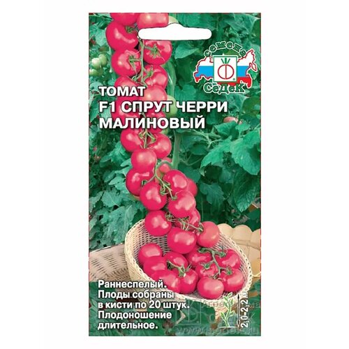 ���������� ����� ����� 