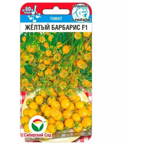 ���������� ������ ������� ����� ������ �������� (1 ��������-15 ��)