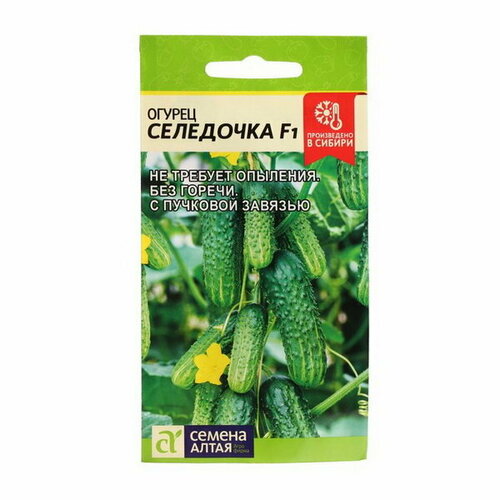 ���������� ������ ������ 