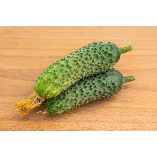 ���������� ������������� ������ ������ ����� F1