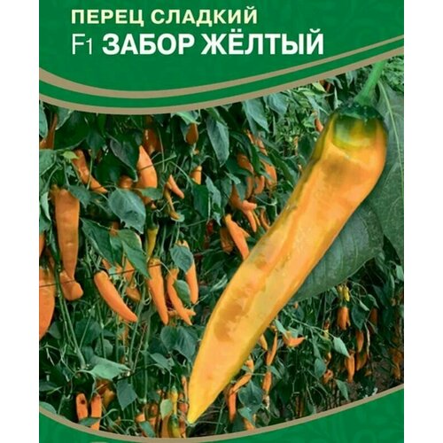 ���������� ������������� ������ ����� �������� ����� ������ F1