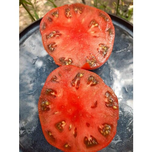 ���������� ������������� ������ ������ ���� �������� �������