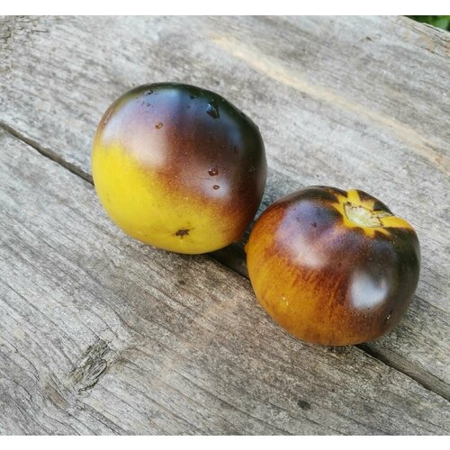 ���������� ������������� ������ ����� ���������� ��������