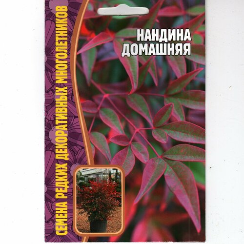 ���������� ������� �������� / ������������ ����������� ��������� ( 1 ��: 4 ������ )