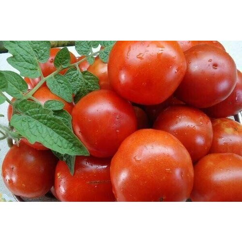 ���������� ������������� ������ ������ ������������� ������ �������