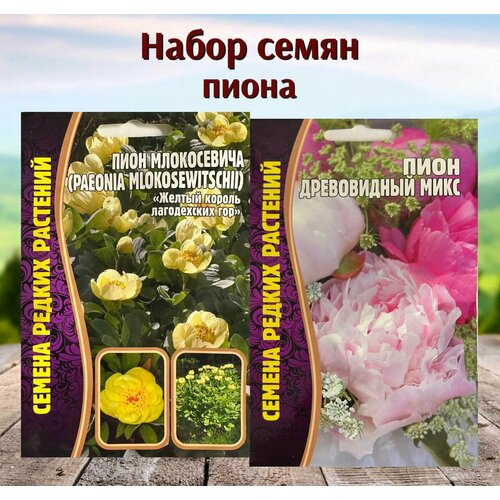 ���������� ������ ����������� ���� ����������� � ����������� ������