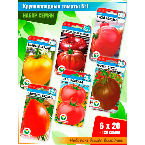 ���������� ����� ����� ������� 