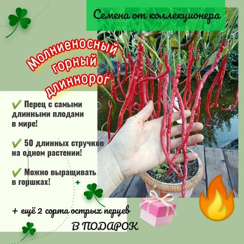 ���������� ������ ����� 