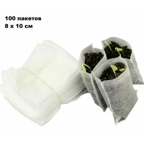 ���������� ������ ��� ������� �������������� 8 � 10 �� �������� 100 ����