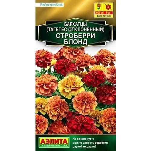 ���������� �������� ��������� ����� 5�� ������