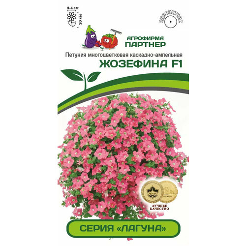 ���������� ������ ������� �������� F1 ����� ������ 5�� �������