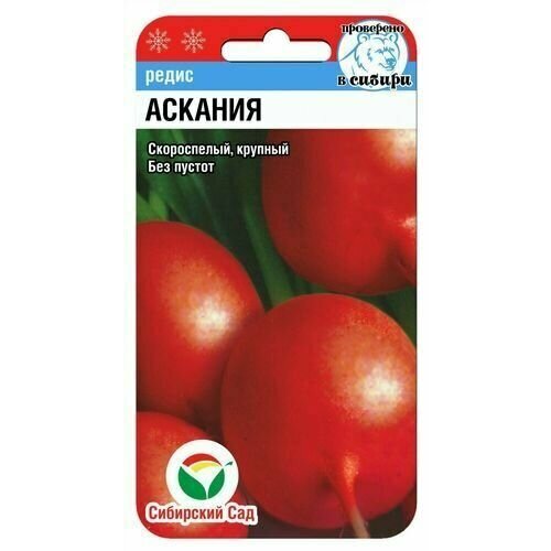 ���������� ����� ������� 2� (��� ���)