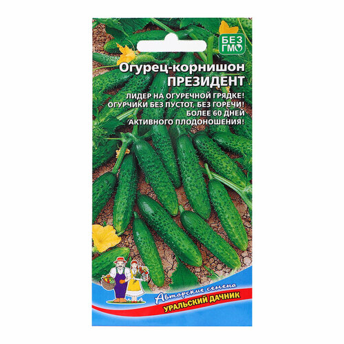 ���������� ������ ������ 