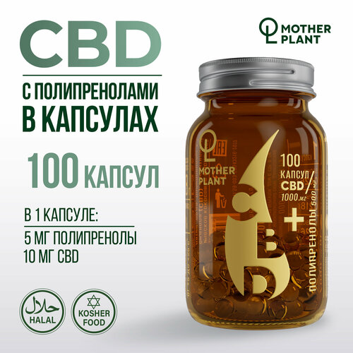 ���������� ����� CBD � ������������� � �������� (100 ������ �� 10 ��), Motherplant