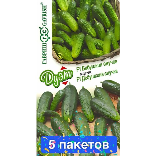 ���������� ������ ������ ������ 