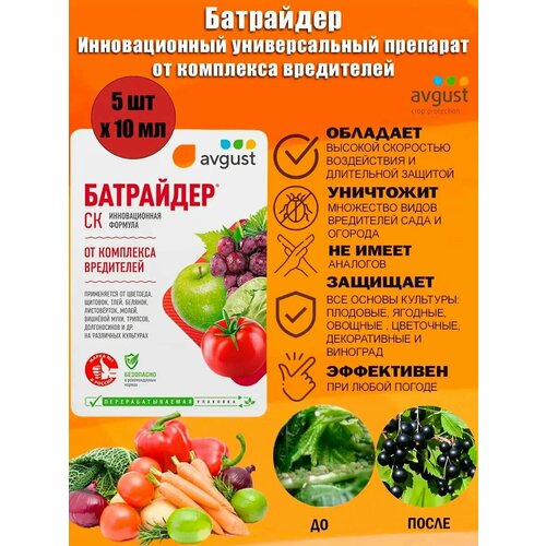 ���������� ������������� ������������� �������� ��������� Avgust �� ��������� ����������, 10 ��