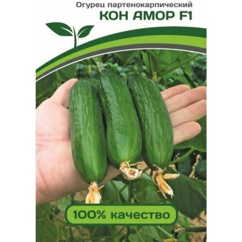 ���������� ������������� ������ ������ ��� ���� F1