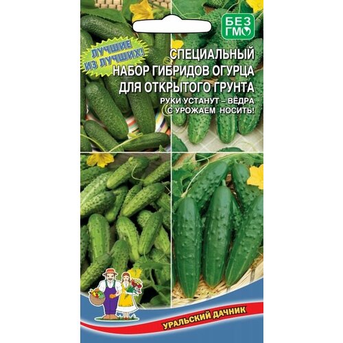 ���������� ������ ����������� ����� ������ �������� ��� ��������� ������, 1 �����, ������ 12 ��, ��������� ������