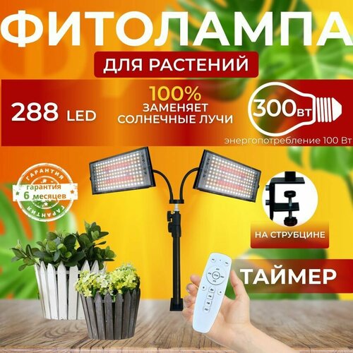 ���������� ��������� ��� ����������� �������� ������� ������ ������ �������������� ������������ � ��������, 2 ����� ���������� ��� ������ �� ������������ �������, ��������� ���������