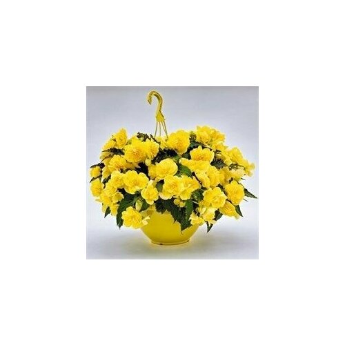 ���������� ������� ��������� ��������� �������� ������, �����, 10 �����