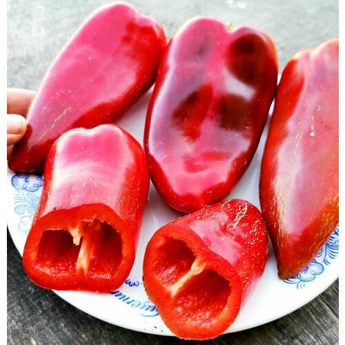 ���������� ������������� ������ ����� �������� ����� ����