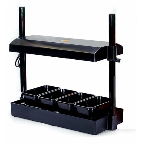 ���������� ���� ������ �������, ���������, ��� ��������, �������, ������